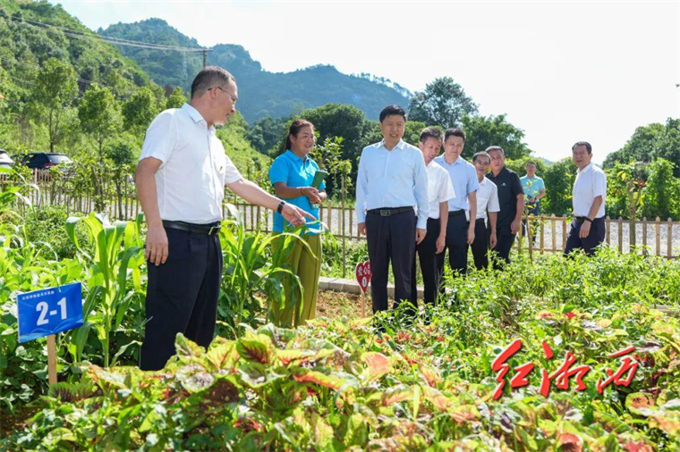 刘涛在吉首调研，强调要做好这些事